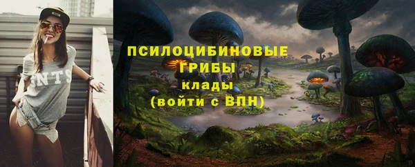 кокаин премиум Белокуриха