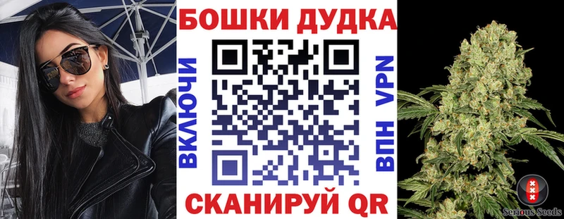 Бошки Шишки семена  закладка  Афипский 